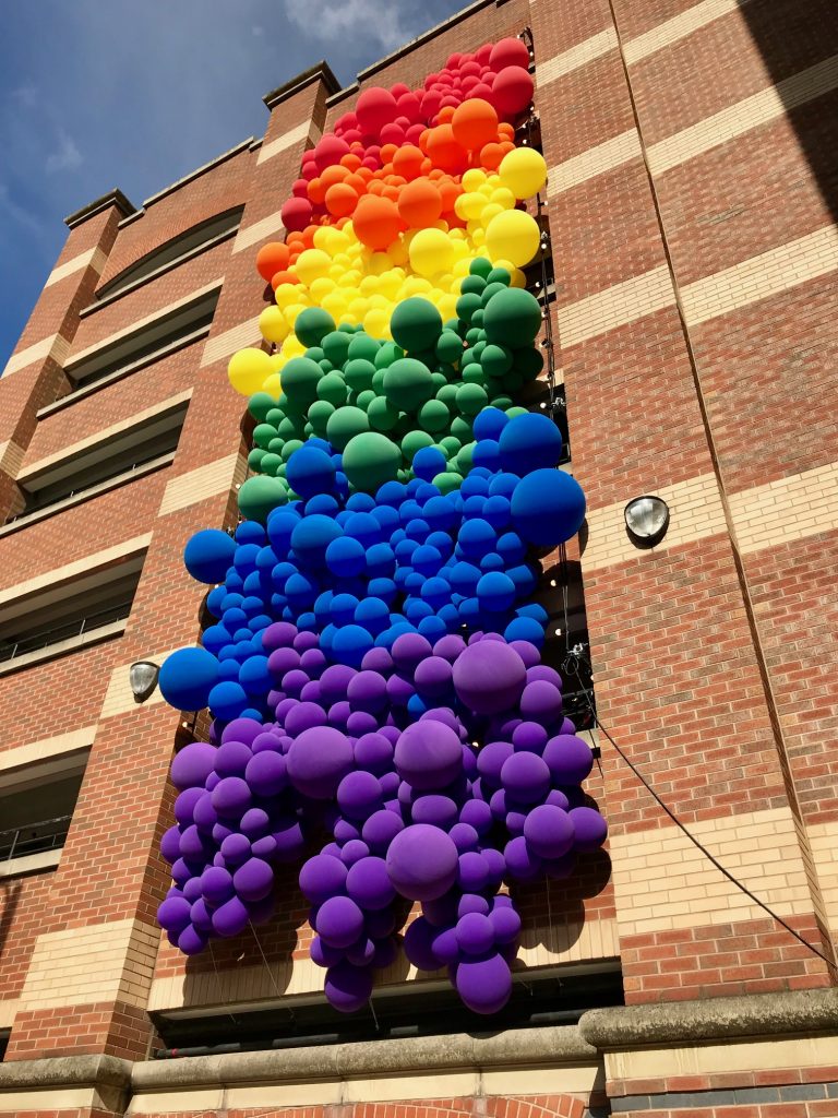 Pride Organic Balloon Wall