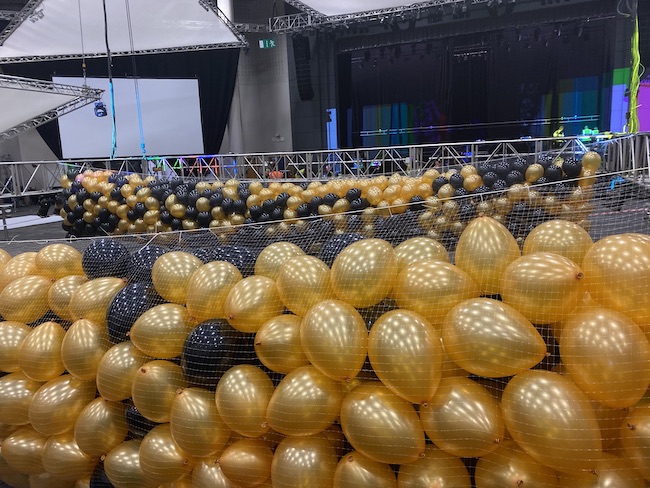 Gold & Black balloons in nets